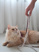 Fruité Edit: Harness and Leash Set