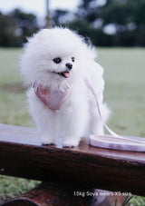 Fluff Harness & FREE Leash