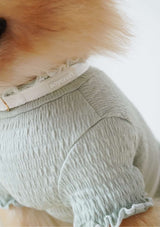 Lolly H-Harness & Leash (3 colours)