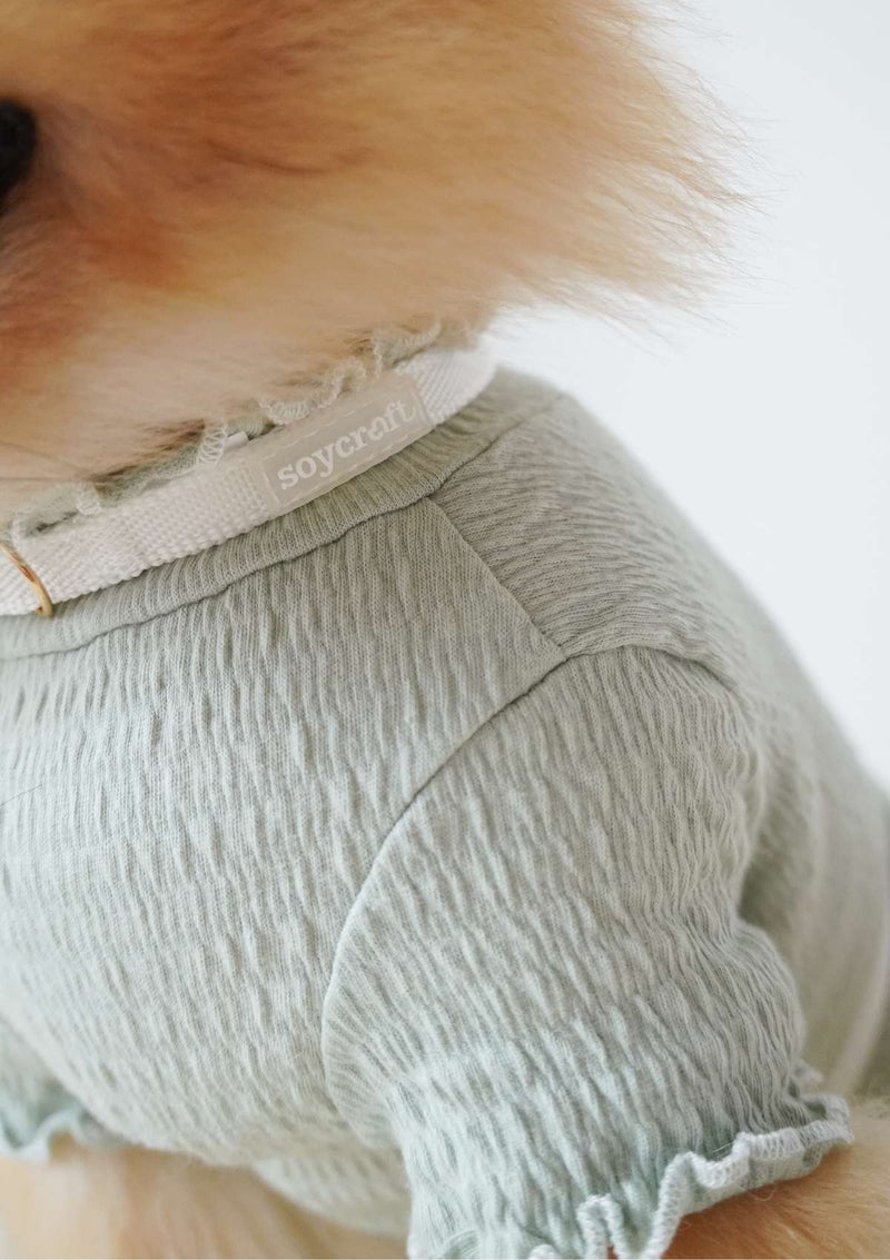 Lolly H-Harness & Leash (3 colours)