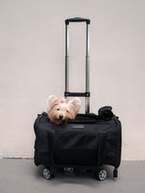 Pet Porter Carrier (Airline Compliant)