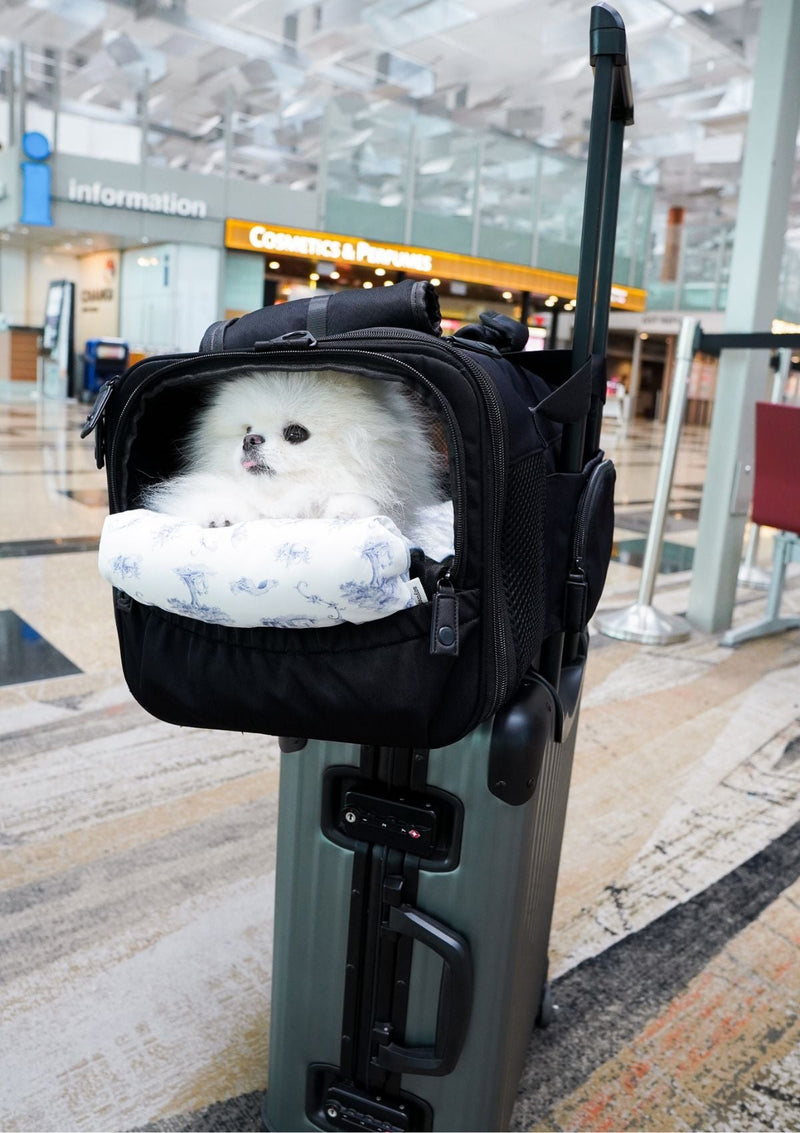 Pet Porter Carrier (Airline Compliant)