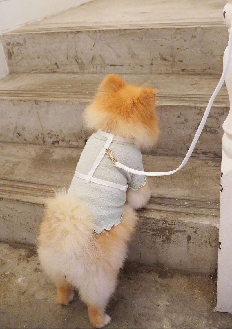 Lolly H-Harness & Leash (3 colours)