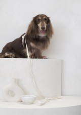 Haute Classic Leash