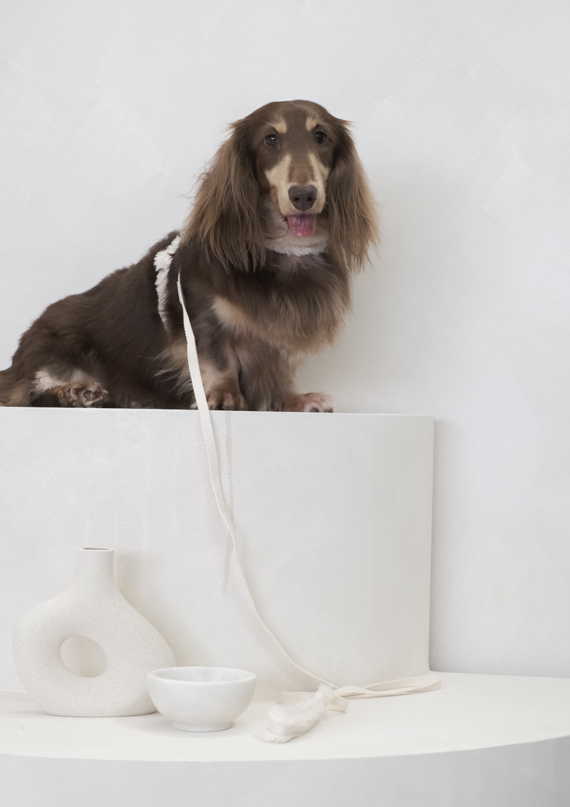 Haute Classic Leash