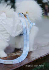Fluff Harness & FREE Leash