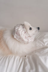Ahjuma Pet Snood