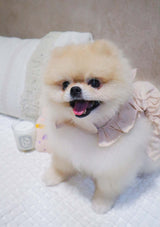 Yeppo Dress Harness