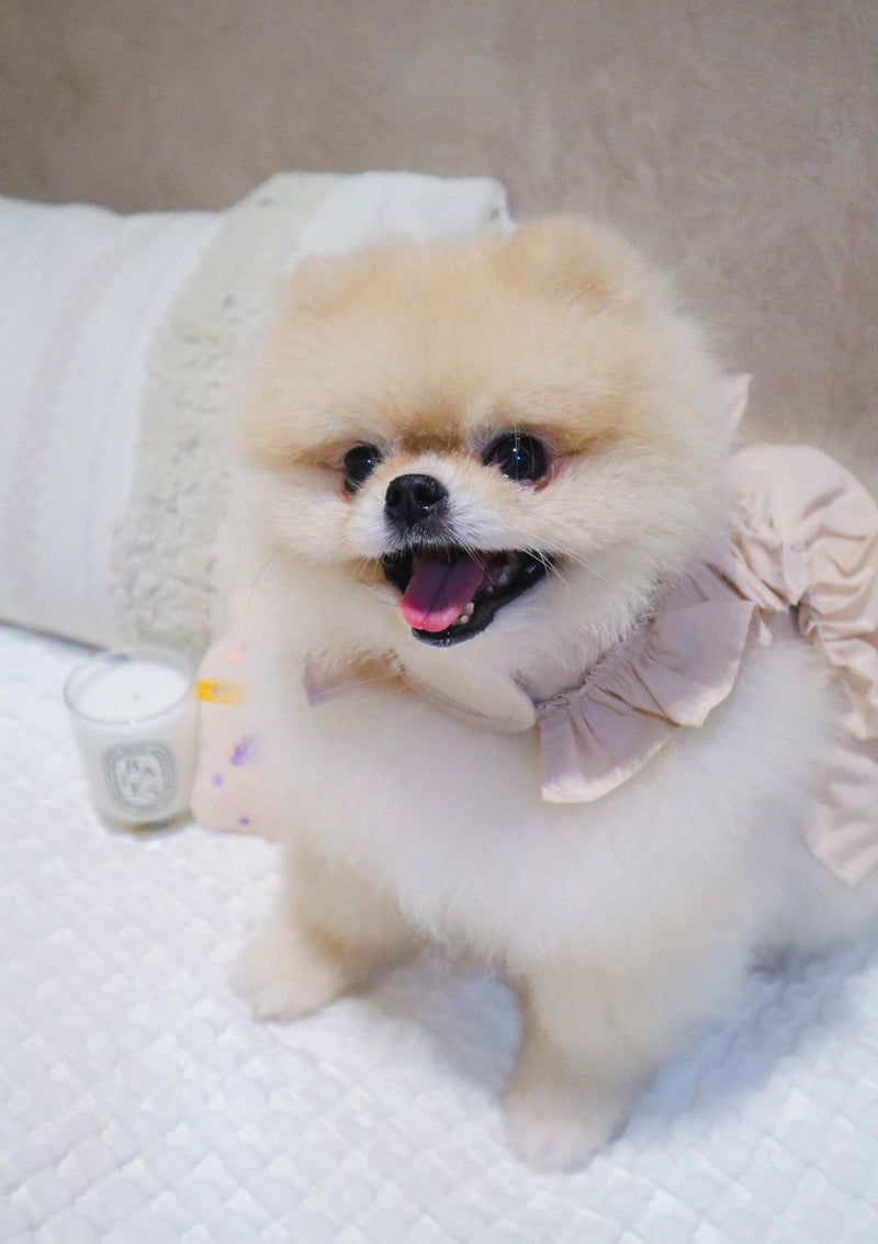 Yeppo Dress Harness