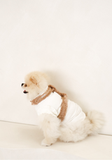 Haute H-Harness, Leash and Poop bag set