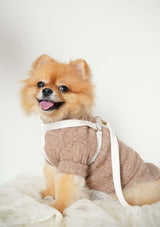 Lolly Y Harness & Leash