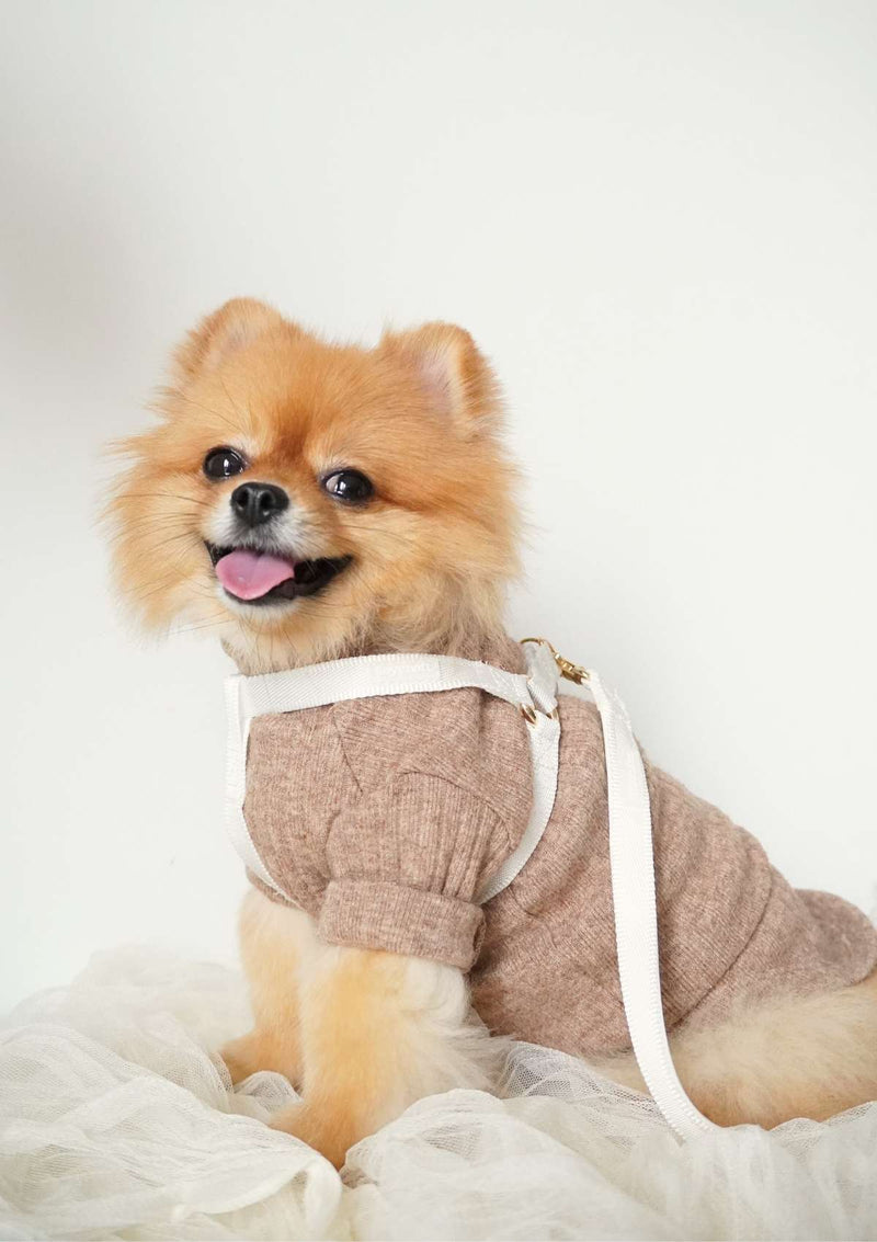 Lolly Y Harness & Leash