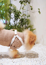 Lolly Y Harness & Leash