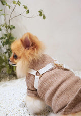 Lolly Y Harness & Leash