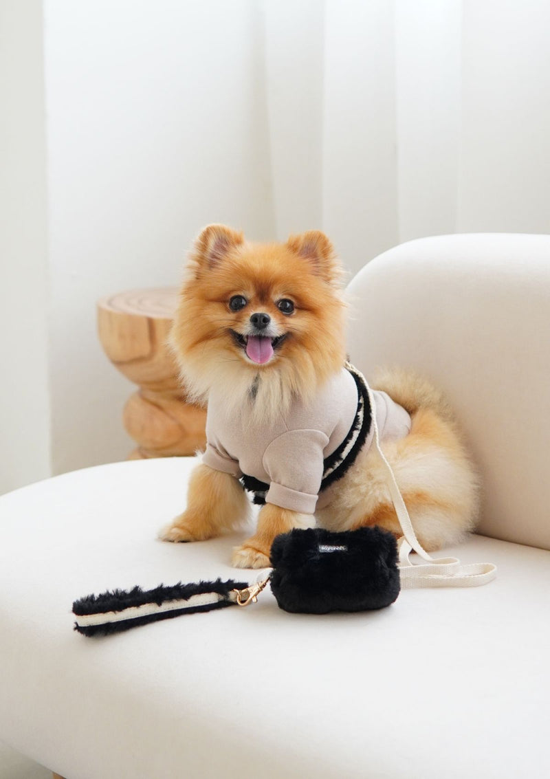 Haute Leash