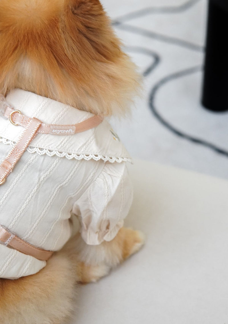 Naked H-Harness