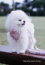Fluff Harness & FREE Leash