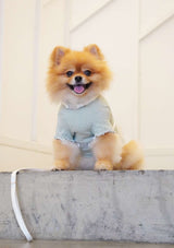 Lolly H-Harness & Leash (3 colours)