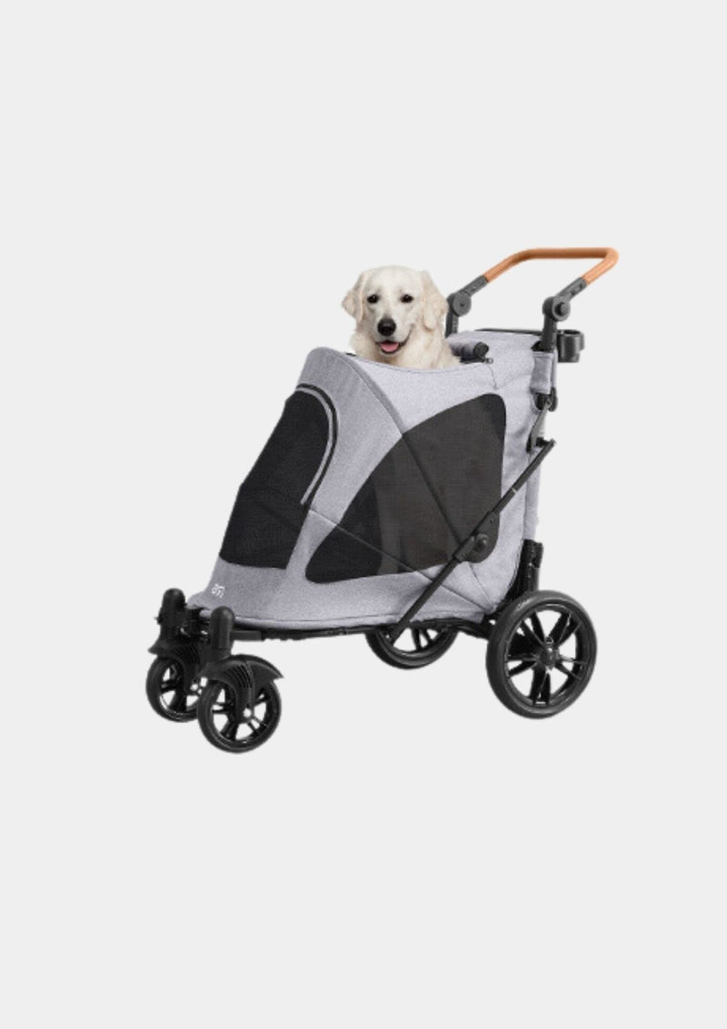 Pet Stroller - R6