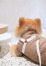 Lolly Y Harness & Leash