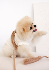 Haute Leash