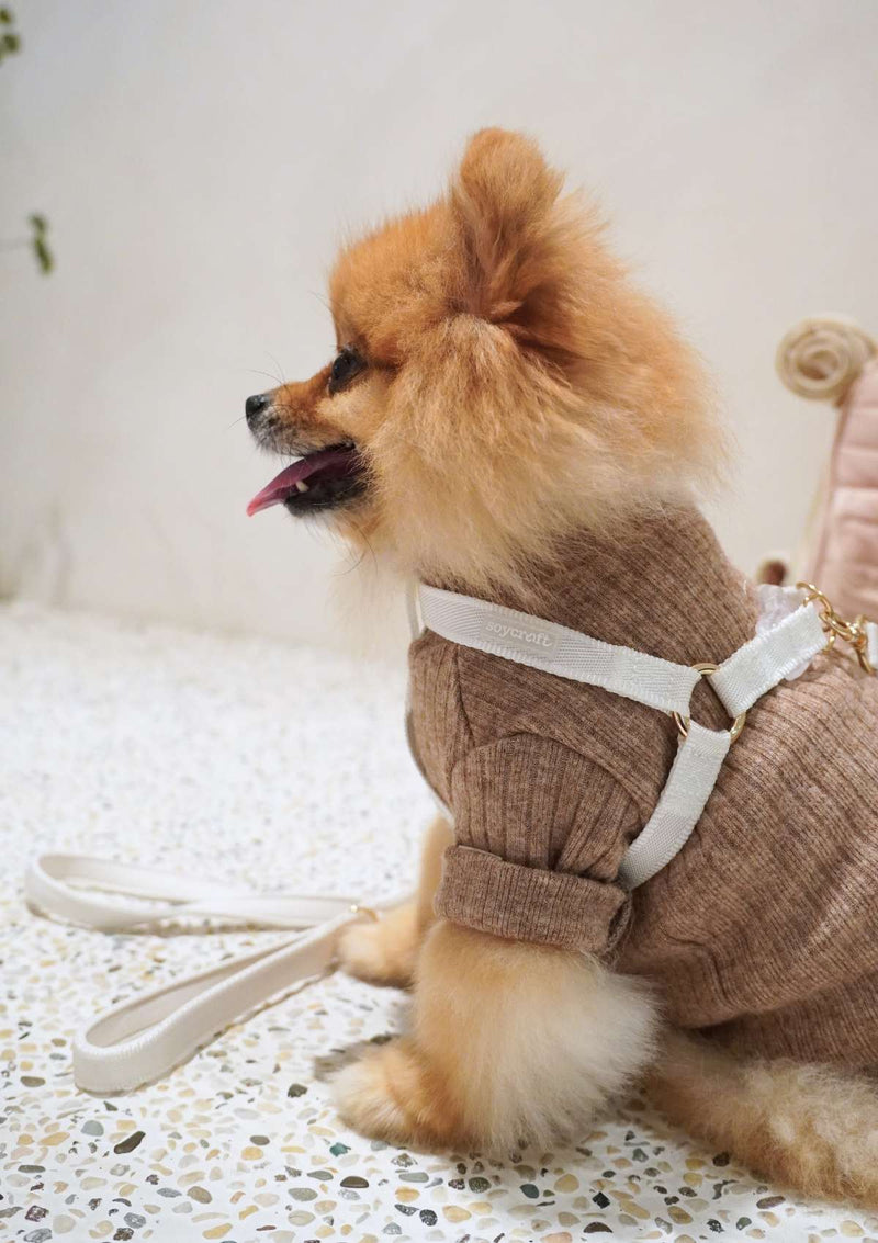Lolly Y Harness & Leash