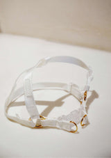 Lolly Y Harness & Leash