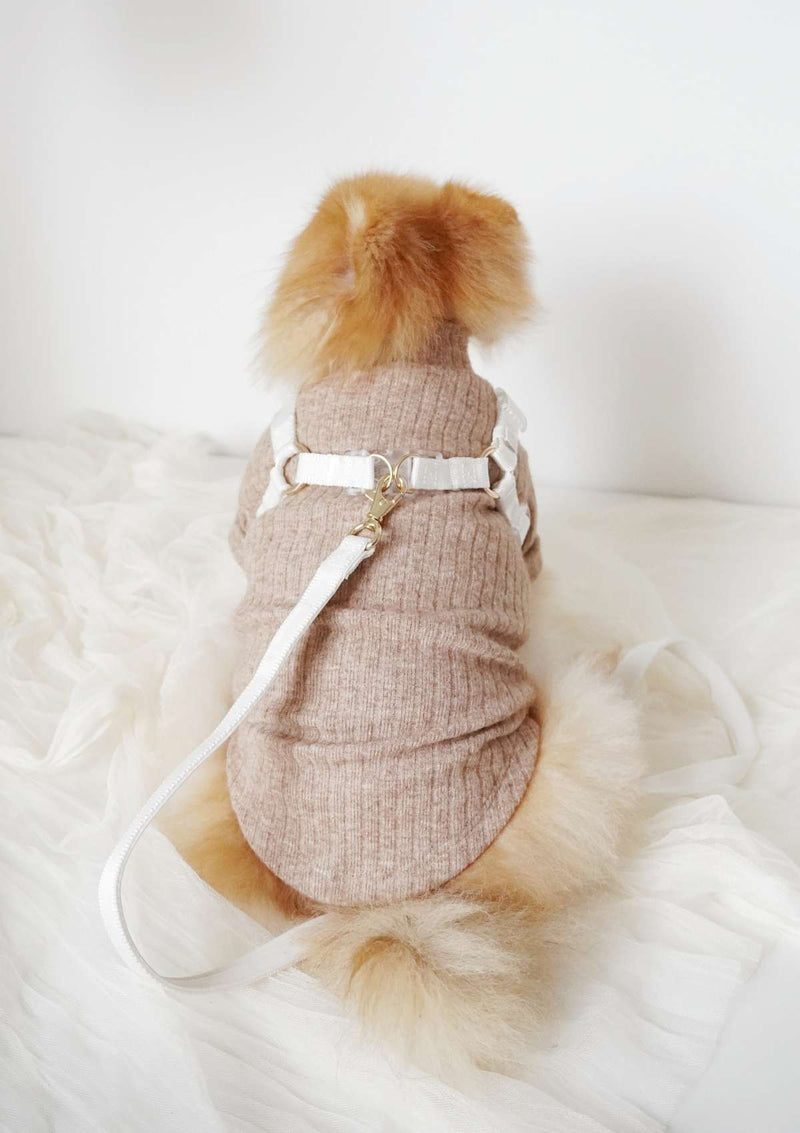 Lolly Y Harness & Leash
