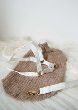 Lolly Y Harness & Leash