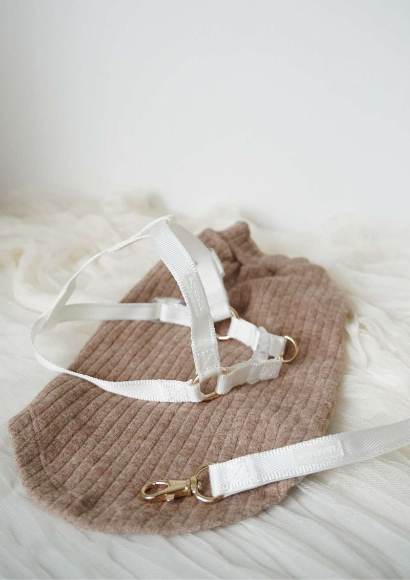 Lolly Y Harness & Leash