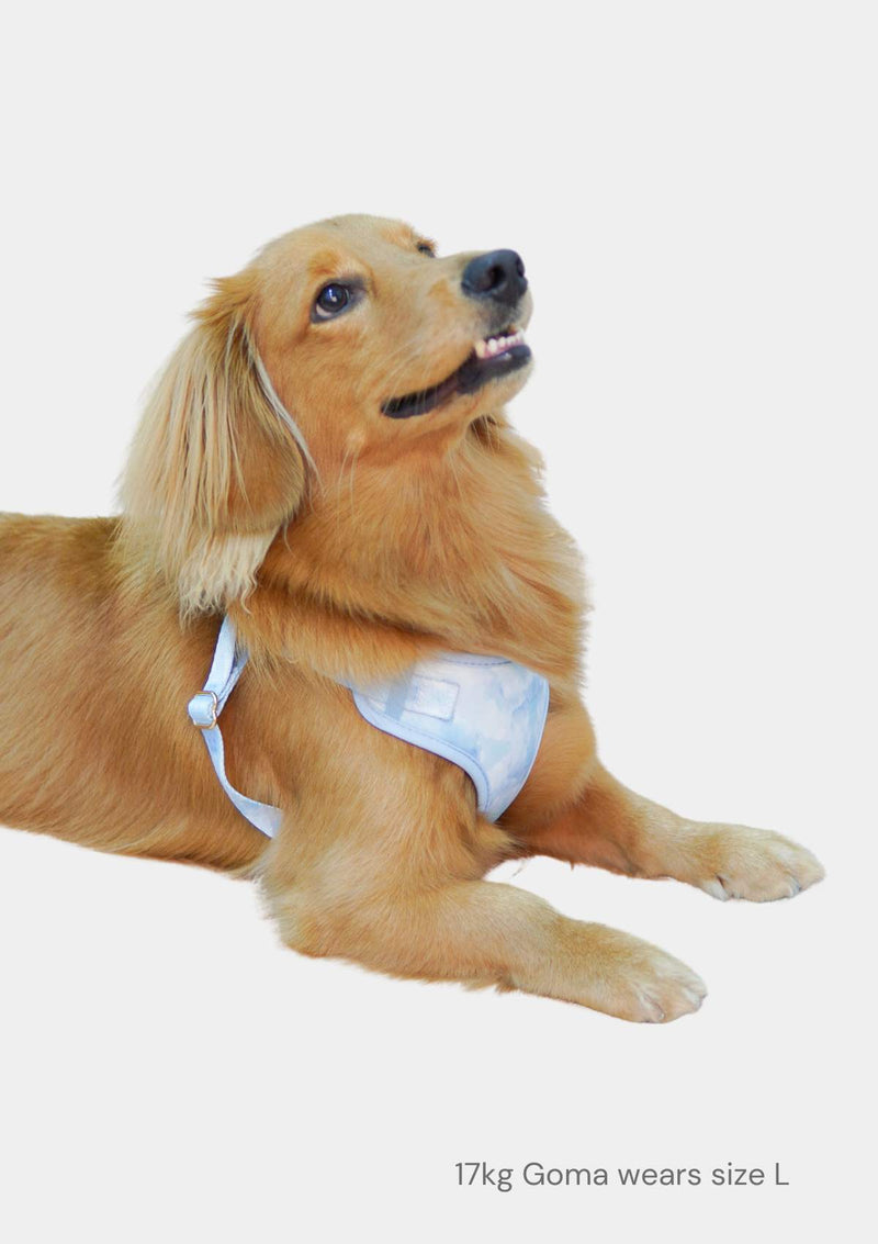 Fluff Harness & FREE Leash