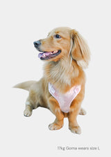 Fluff Harness & FREE Leash