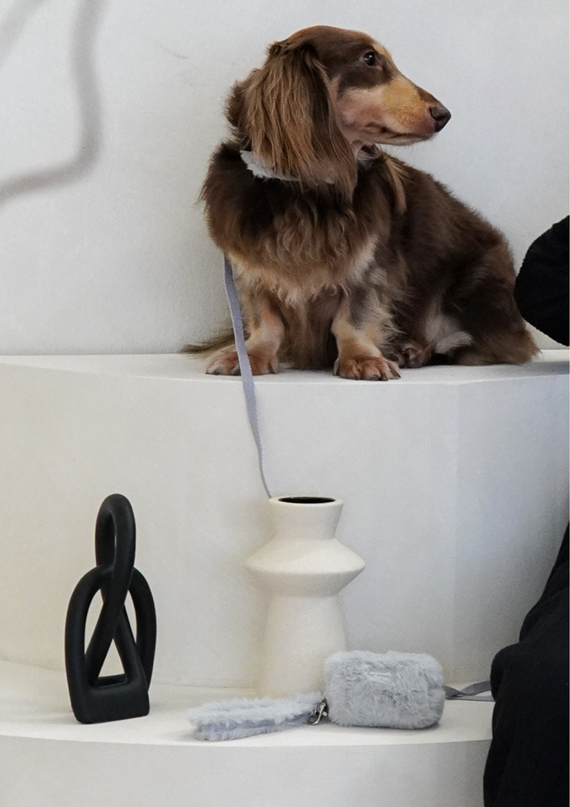 Haute Leash