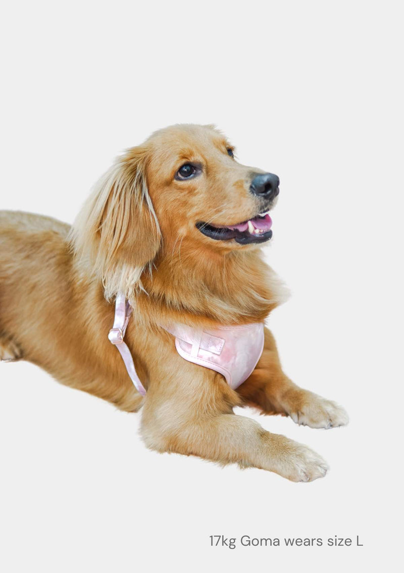 Fluff Harness & FREE Leash