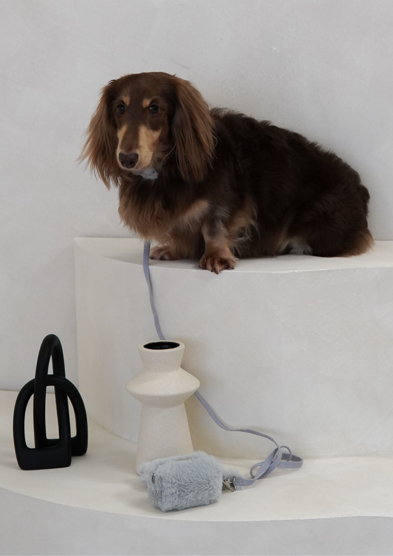 Haute Classic Leash
