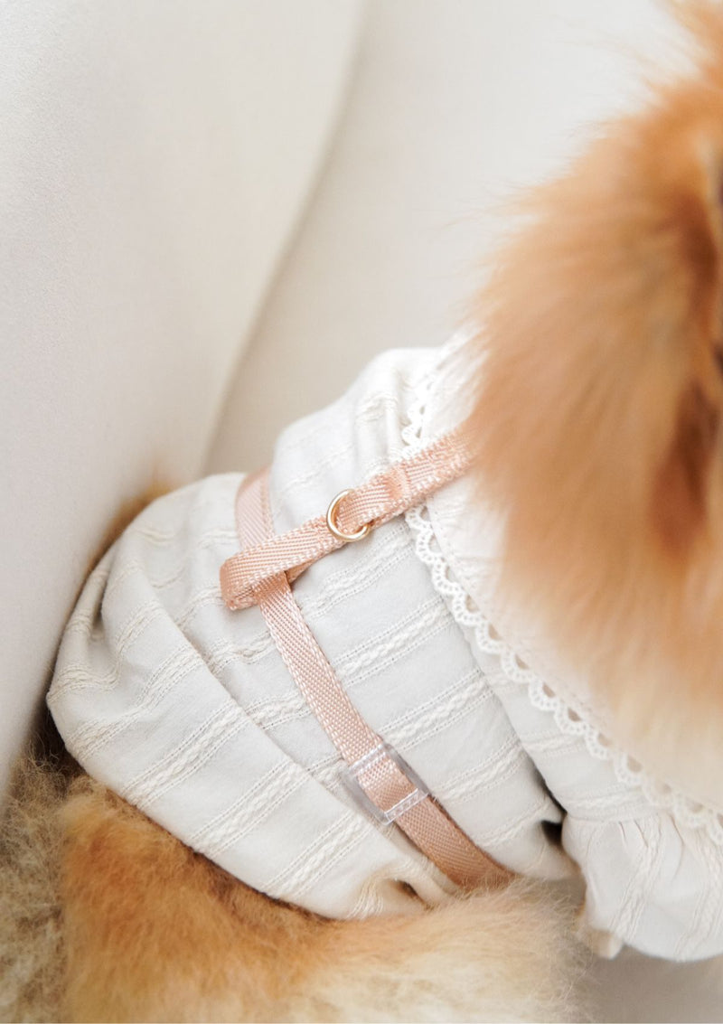 Naked H-Harness