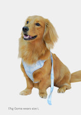 Fluff Harness & FREE Leash