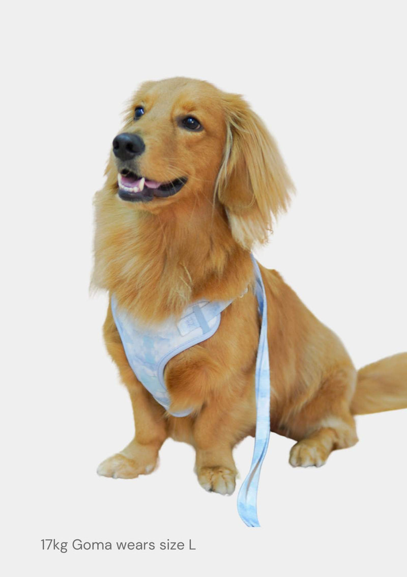 Fluff Harness & FREE Leash