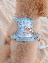 Fruité Edit: Harness and Leash Set