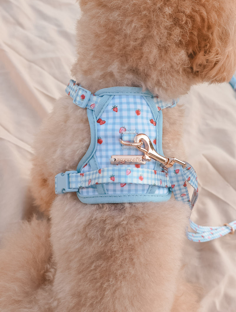Fruité Edit: Harness and Leash Set