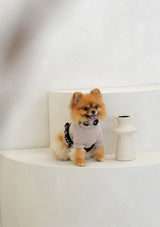 Haute H-Harness