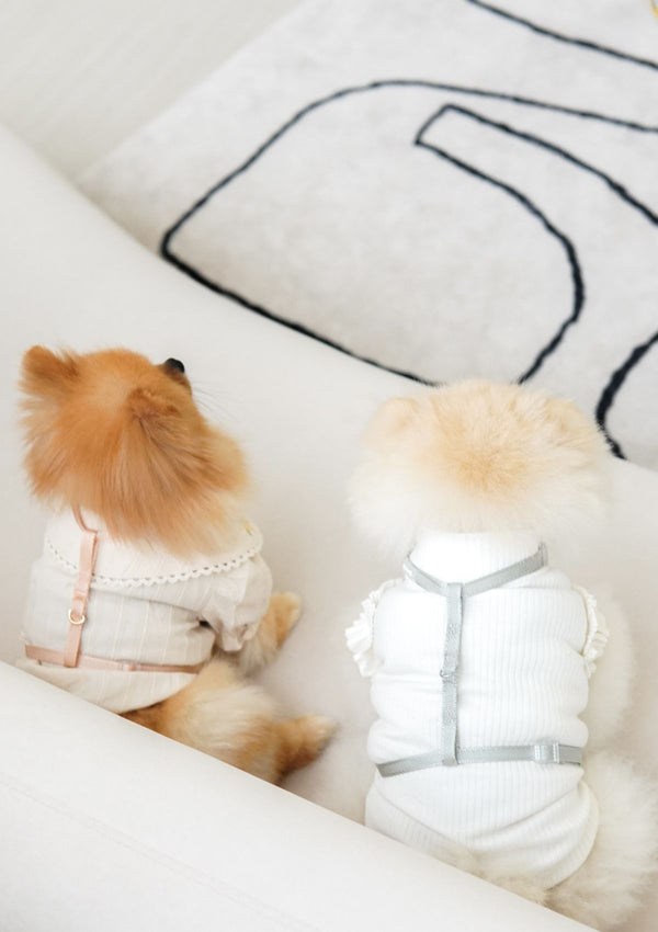 Naked Dog H-Harness (2 colours)