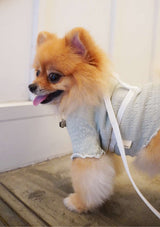 Lolly H-Harness & Leash (3 colours)