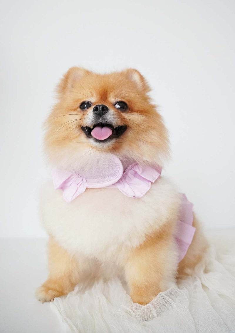 Yeppo Dress Harness