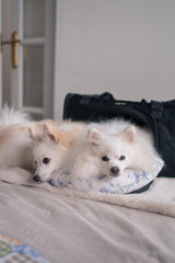 Moon Hug Cushion
