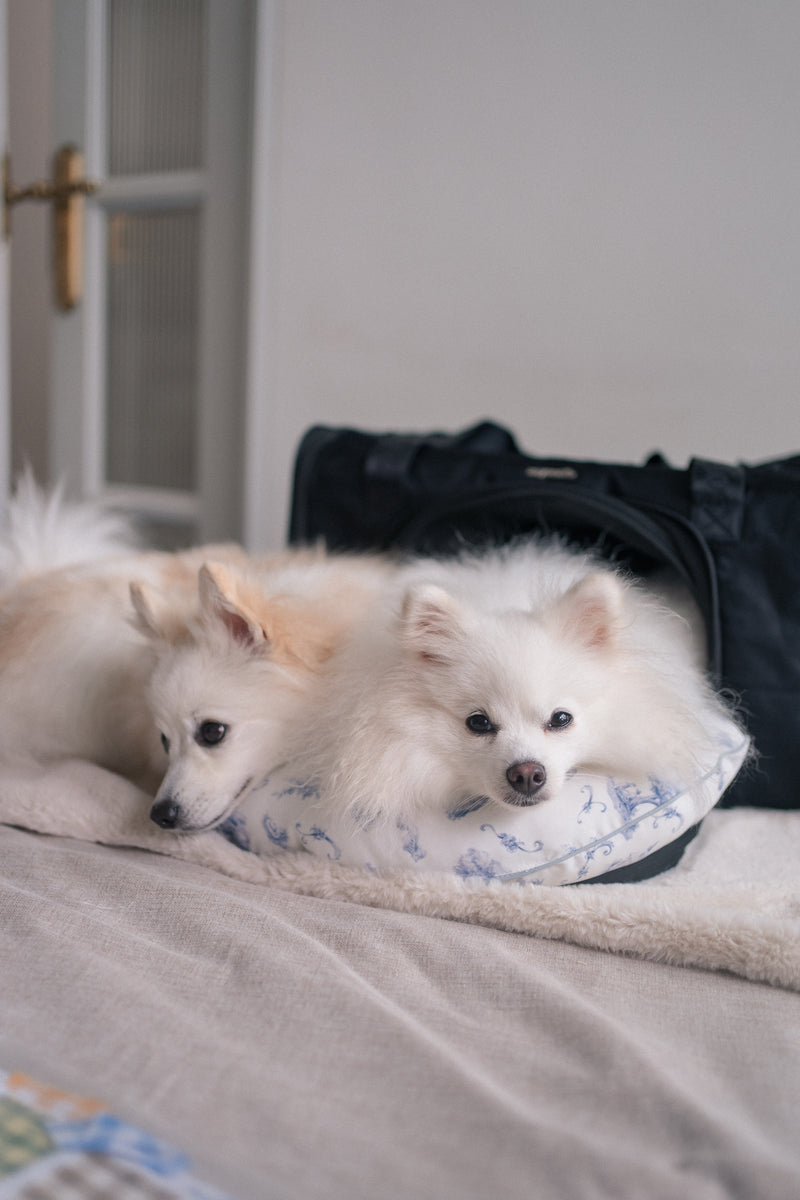 Moon Hug Cushion