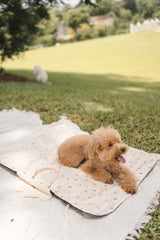 Baskie Place Mat (Waterproof)