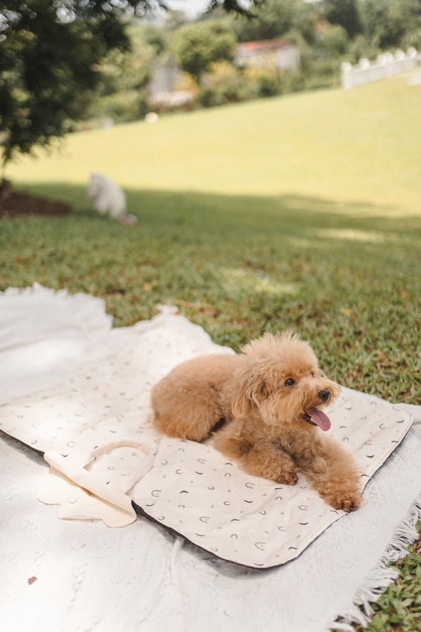 Baskie Place Mat (Waterproof)