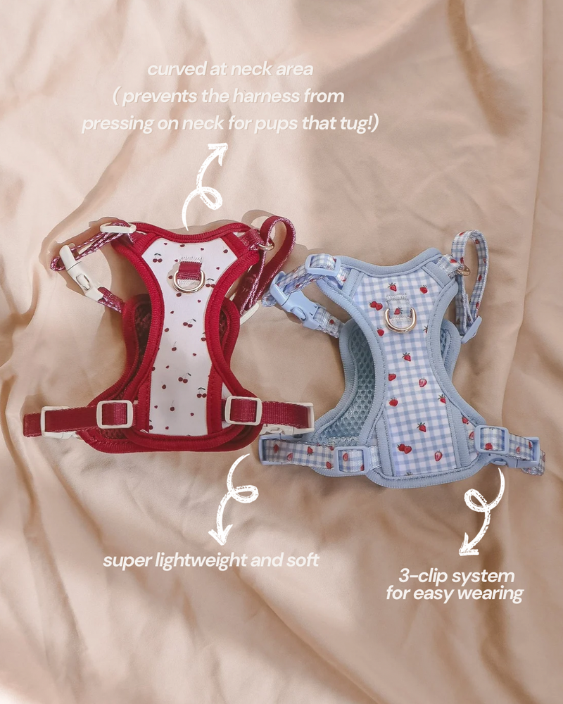 Fruité Edit: Harness and Leash Set