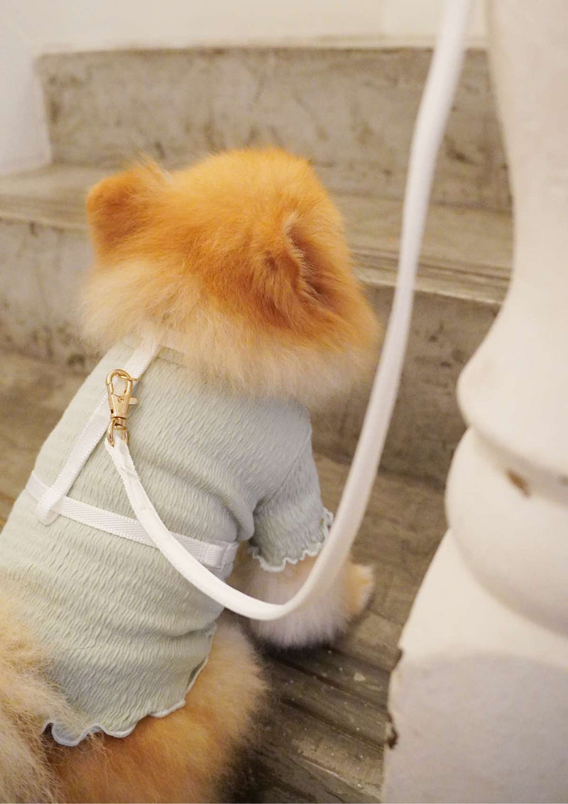 Lolly H-Harness & Leash (3 colours)